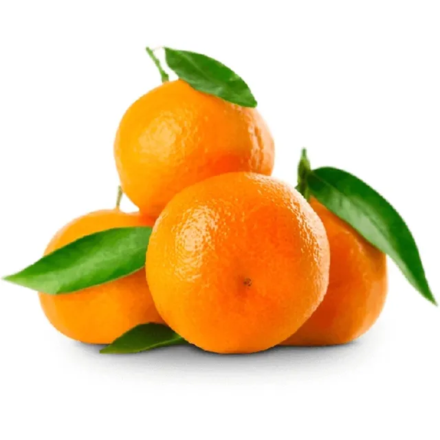 Nadorcott Mandarine - South Africa