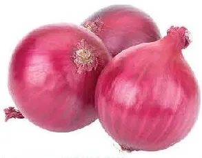 بصل هندي