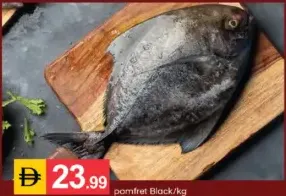 سمك زبيدي أسود