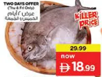 سمك زبيدي أسود طازج