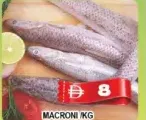 Macroni