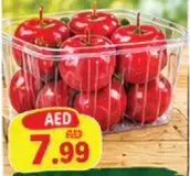 تفاح مغطى بالحلوى