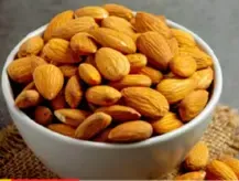 Almond 20/22