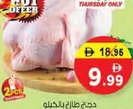 دجاج طازج