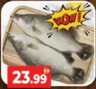 Sea Bass (Kalanchi)