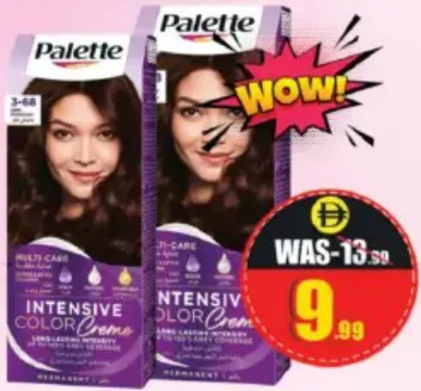 Palette باليت إنتنسيف كولور