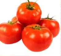 Tomato India
