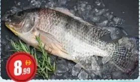 Fresh Tilapia