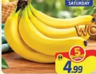 Banana Ecuador