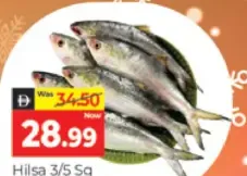 Hilsa Frozen Fish 3/5 Sg