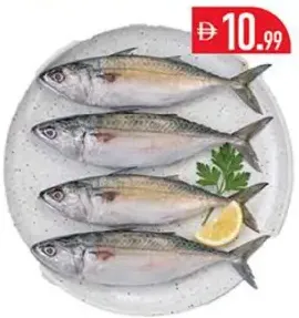 Fresh Mackerel