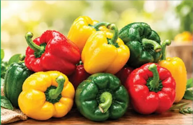 Capsicum Mix