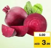 شمندر
