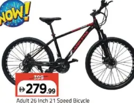 Adult Bicycle 21 Speed