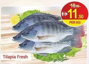 Tilapia Fresh