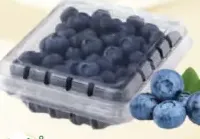Blueberry