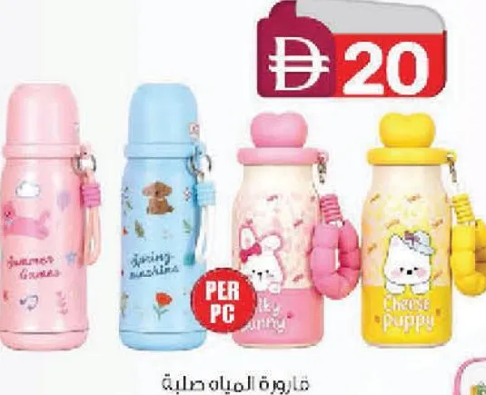 Steel Water Bottle