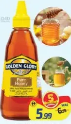 Golden Glory Honey Pure Squeeze