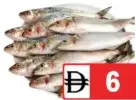 Sardine (Mathi) Big