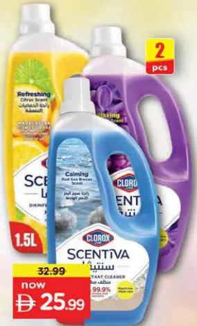 Clorox Multipurpose Cleaner assorted