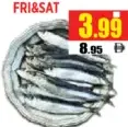 Sardine Small