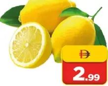 Lemon Big Yellow