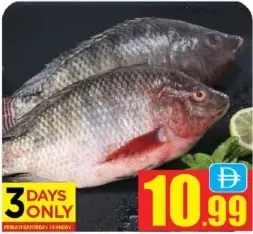Tilapia Fish per kg