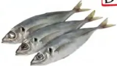 سيما