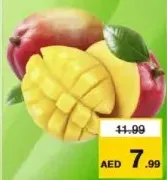 مانجو كيت