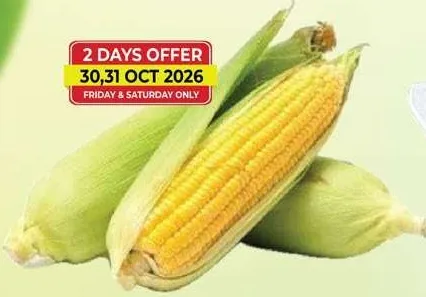 Sweet Corn Per Kg
