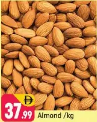لوز