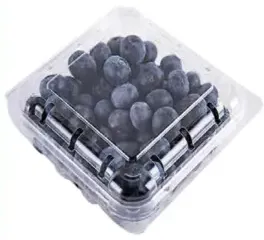 Blueberries