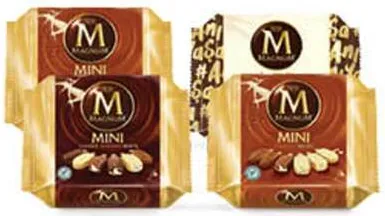 Magnum Ice Cream Stick Assorted