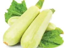 Koosa
