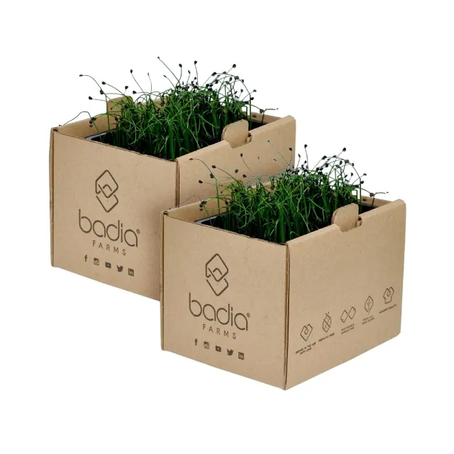 Badia Farms Chives Garlicky & Crisp