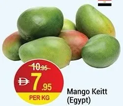 مانجو كيت (مصري