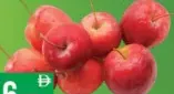 Apple Baby