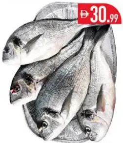 Fresh Sea Bream Fish