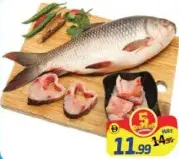 Rohu 2Up