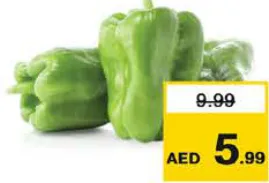 فلفل أخضر