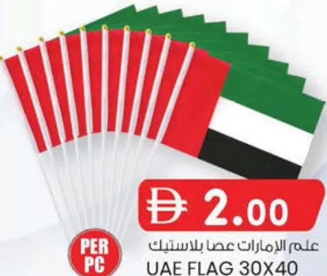 علم بلاستيك بعصا
