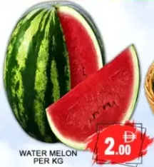 بطيخ