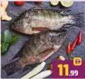 Thilapia Fish