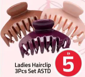 Ladies Hairclip Set Assorted