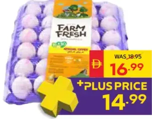 Farm Fresh White Eggs Medium