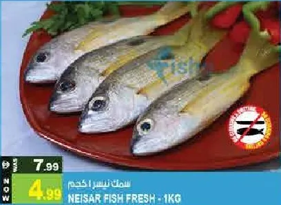 سمك طازج NEISAR