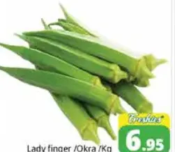 بامية lady finger /okra
