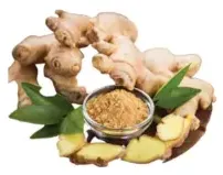 Ginger