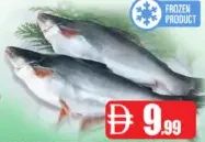Pangush Frozen Fish 1Up/1.5Up