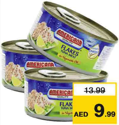 Americana LightMeat Tuna Flakes In Veg Oil